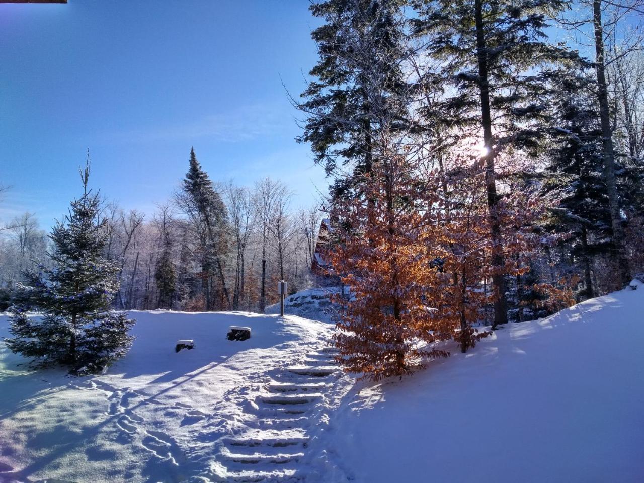 Chalet F116 Mont-Tremblant Nord Lac Superieur Exterior photo